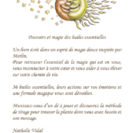 Pouvoirs et magie des huiles essentielles - Nathalie Vidal